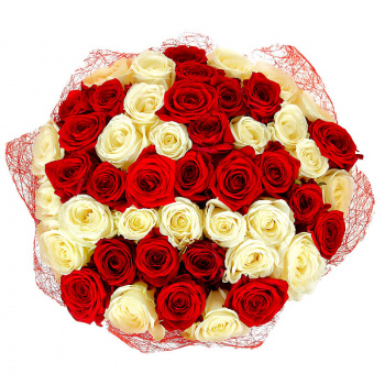 Букет из 55 красных и белых роз